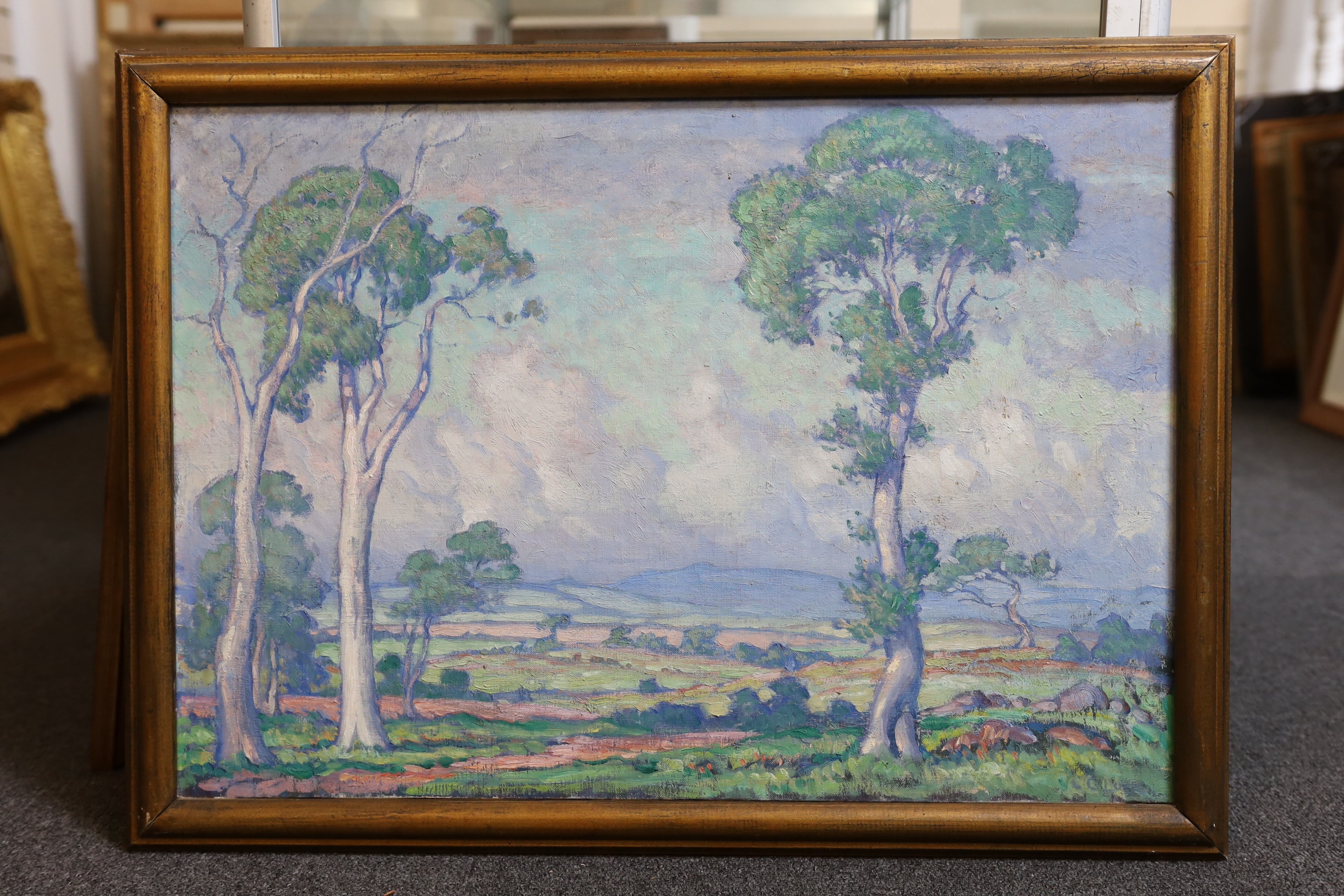 CCL , Open landscape with trees to the foreground, possibly Australia with eucalyptus trees, oil on canvas, 45 x 64cm